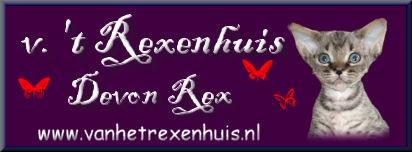 our banner